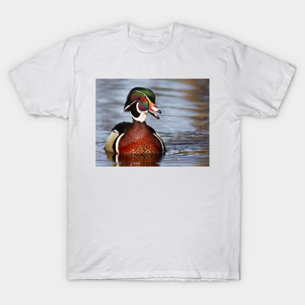 Wood Duck laugh T-Shirt by Jim Cumming